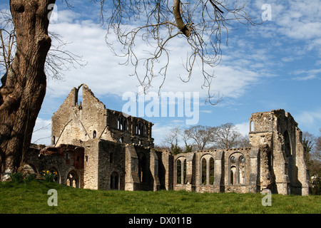 Netley Abbey ruins in early spring Stock Photo