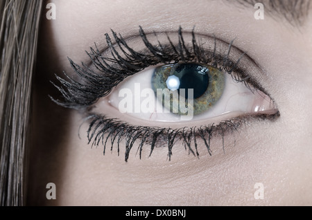 Close-up of a young woman's Green Eye, horizontal shoot Stock Photo