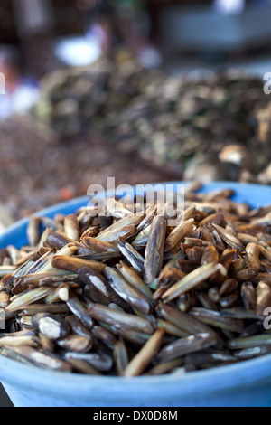 Oysters, mussels and scallops on asian market Stock Photo