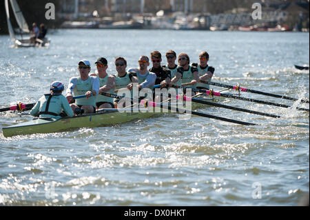 London, UK. 16th March 2014.  during the fixture between the Cambridge University Blue Boat and Molesey Boat Club VIII. Part of the preparation for the 160th Boat Race between crews from the Universities of Oxford and Cambridge on April 6th 2014 sponsored by BNY Mellon. Credit:  Action Plus Sports/Alamy Live News Stock Photo