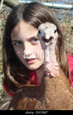 Young caucasian girl with her female red bourbon turkey (heritage) hen pet at her allotment holding UK, England Stock Photo