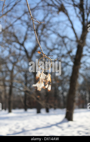 A dream catcher hanging from a tree. Stock Photo