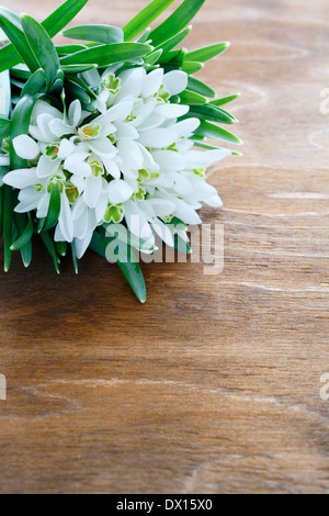 armful of snowdrops on wooden background, flowers Stock Photo