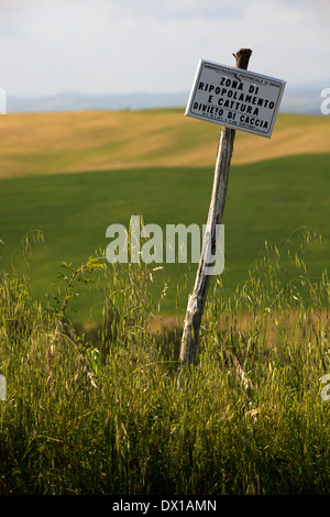 Typical scenary of Crete Senesi, Asciano, Siena, Tuscany, Italy Stock Photo