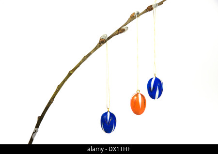 Coloured easter eggs decoration hanging in a twig and isolated on white Stock Photo
