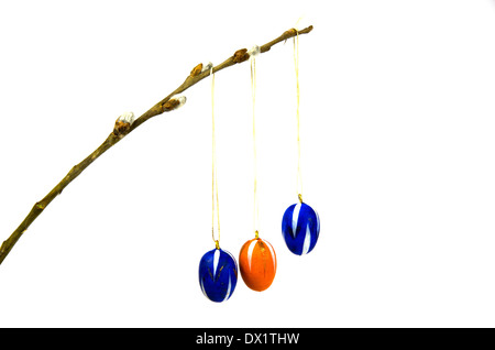 Coloured easter eggs decoration hanging in a twig and isolated on white Stock Photo