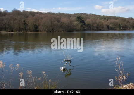 'Fairy statue' on the lake at Trentham Gardens, Stoke in Trent, Staffordshire, England. Stock Photo