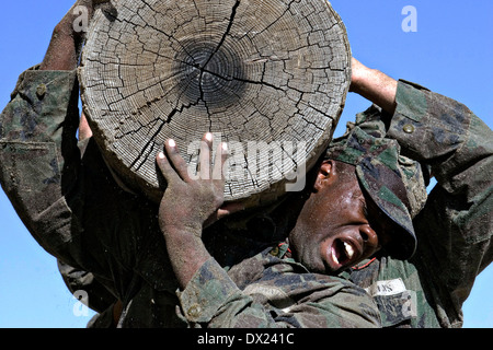 US Navy SEAL team candidates struggle during the log lift physical training at the Naval Special Warfare Center February 4, 2009 in Coronado, California. Stock Photo