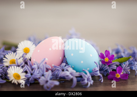 Spring in Easter- two Easter eggs- pink and blue polka-dot and different spring flowers. Stock Photo