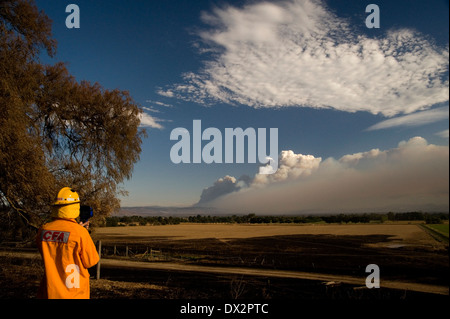 pyrocumulus smoke cloud rising from bushfire Australia Stock Photo - Alamy