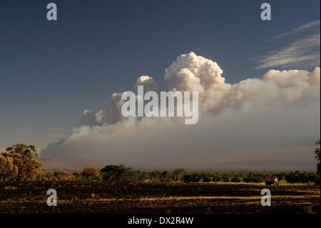 smoke cloud rising from bushfire Australia Stock Photo - Alamy