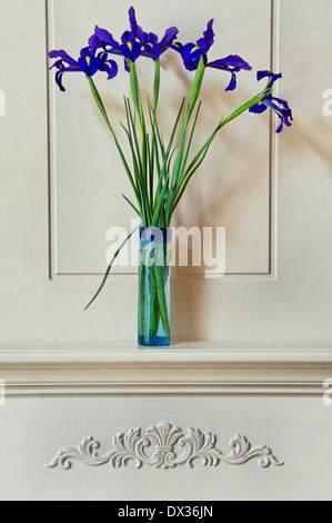 Still life iris in vase Stock Photo