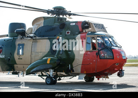 Westland Sea King MK48 SAR helicopter, search and rescue version for the Belgian Air Force / Belgian Air Component Stock Photo