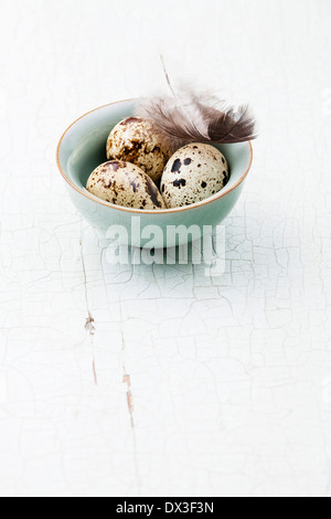 Blue bowl with fresh quail eggs on wooden background Stock Photo