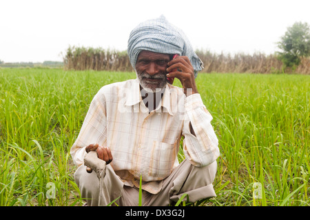 Indian Farmer Working in Farm Stock Photo