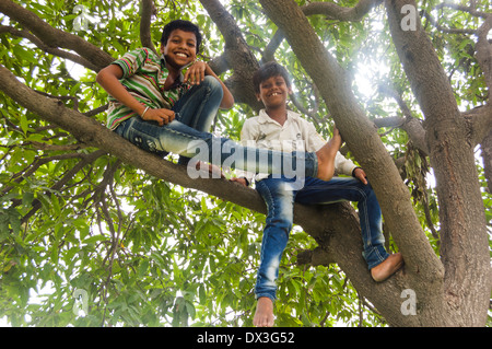 Indian Rural kids Sitting on Tree Trunk Stock Photo