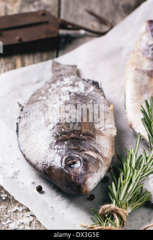 Raw dorado fish with rosemary and sea salt server on white paper over old wooden table. Stock Photo
