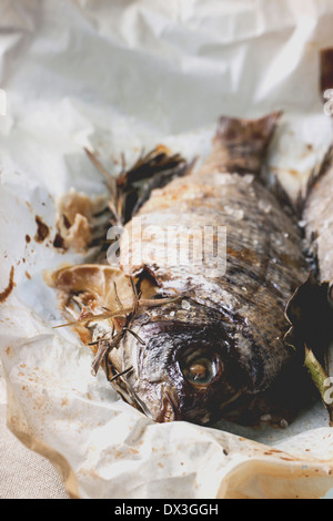 Grilled dorado fish with rosemary served on baking paper. Stock Photo