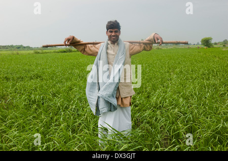 1 Indian Farmer Standing in Field Stock Photo