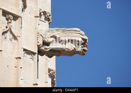 Gargoyle at La Lonja monument in Palma de Mallorca, Spain Stock Photo