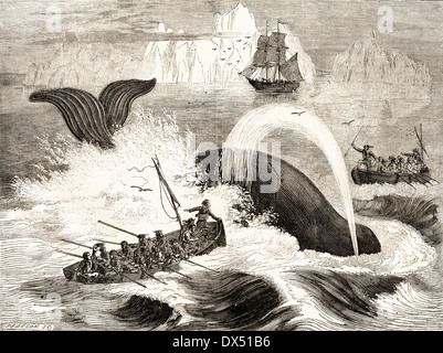 Victorian engraving of whaling in the Arctic circa 1854. Stock Photo