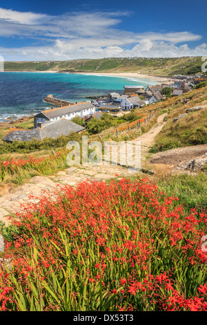 Sennen Cove in Cornwall with a display a Montbretia in the foreground Stock Photo