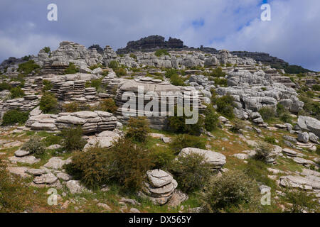 Limestone rocks, Torcal de Antequera, Málaga province, Andalusia, Spain Stock Photo
