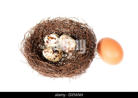 Bird's nest with big and small eggs isolated on a white background Stock Photo