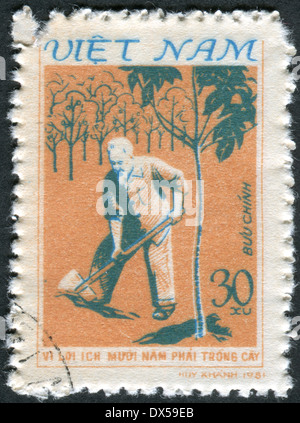 VIETNAM - CIRCA 1981: Postage stamp printed in Vietnam shows President Ho Chi Minh plant a tree, circa 1981 Stock Photo