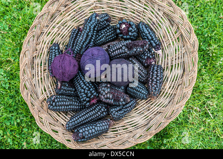 natural dyed wool yarn in the peruvian Andes at Cuzco Peru Stock Photo