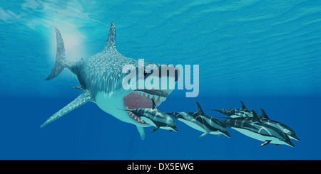 A huge Megalodon shark swims after a pod of Striped dolphins. Stock Photo