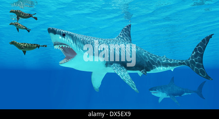 Seals race to get away from a giant Megalodon shark coming after them. Stock Photo