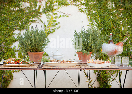 Garden buffet table with potted plants Stock Photo