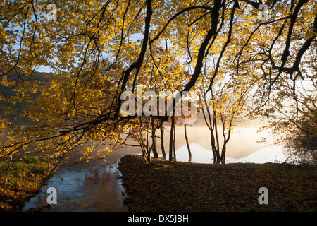 Early morning light in autumn on Loweswater, Lake district, Cumbria, England Stock Photo