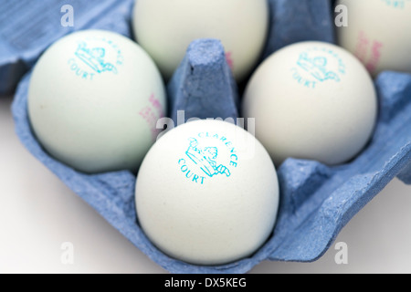 Clarence Court eggs with pastel blue coloured shells in egg box Stock Photo