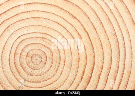 Circles of a timber beam when cross cut Stock Photo