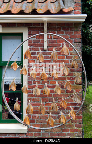 Scene from the Enhuizen Zuiderzee Open Air Museum, North Holland, The Netherlands: Fish hanging out to dry. Stock Photo