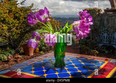 Tulips outdoors on a tile table. The tulip is a perennial, bulbous plant with showy flowers in the genus Tulipa. Note storm clouds. Stock Photo