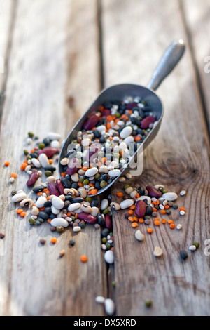 Mixed dry beans and lentil in scoop on old wood table Stock Photo