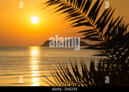 Beautiful golden sunrise on a Greek island framed by palm leaves silhouettes. Stock Photo