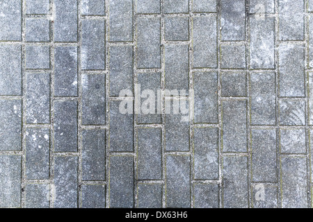 The gray rectangular paving in the city Stock Photo