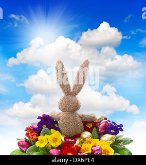 easter bunny with shiny eggs and colorful fresh spring primula flowers on sunny blue sky background Stock Photo