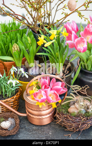 spring flowers with easter eggs decoration. tulips, snowdrops and narcissus blooms on white background Stock Photo