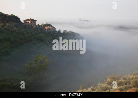 Early morning mist on a hillside and valley outside Siena, Tuscany, Italy. M Stock Photo