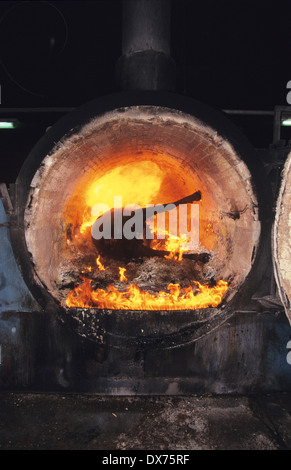 Incineration of cow carcass with suspected BSE, Mad Cow disease. Midlands, United Kingdom Stock Photo