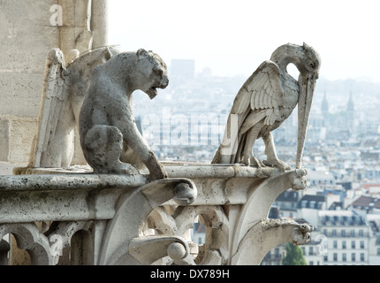 Stone demons gargoyle und chimera with city of Paris on background. View from the tower of the Notre Dame Stock Photo