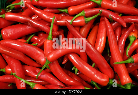 birdseye type red chilli peppers Stock Photo