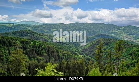 Black Forest Mountains, Germany, Stock Photo