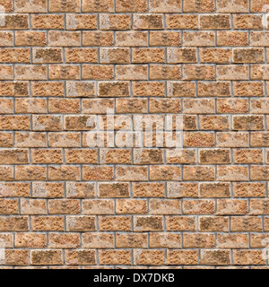 Coquina Wall. Seamless Tileable Texture. Stock Photo