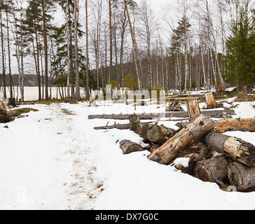 early spring, melting ice and water on a country road Stock Photo - Alamy